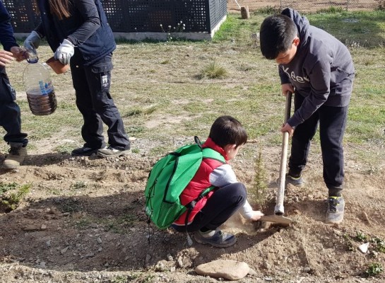 Un proyecto educativo ayuda a reforestar el monte tras los incendios del Alto Palancia

