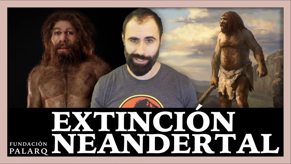 Fundación Palarq consolida su misión divulgativa con la difusión de contenidos digitales sobre arqueología y paleontología humana al público general
