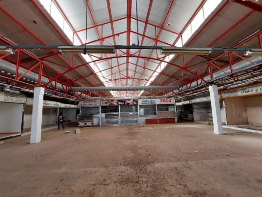 Otro paso para el mercado 'gastronómico' de Elche: en licitación, sin tiempo de adjudicar antes de comicios