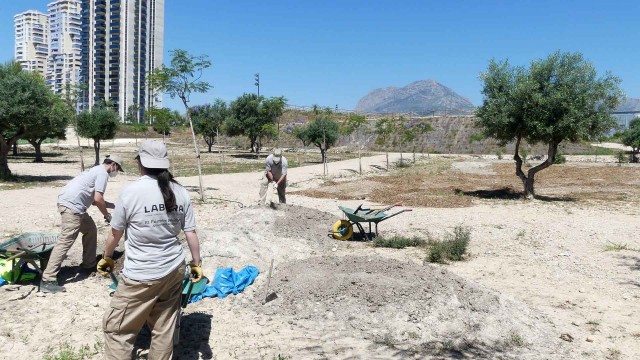 Benidorm solicita una subvención para contratar desempleados de más de 30 años durante 12 meses 