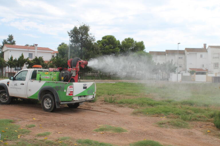 

Benicàssim pide a la Diputación desbroces urgentes para prevenir la proliferación de mosquitos
