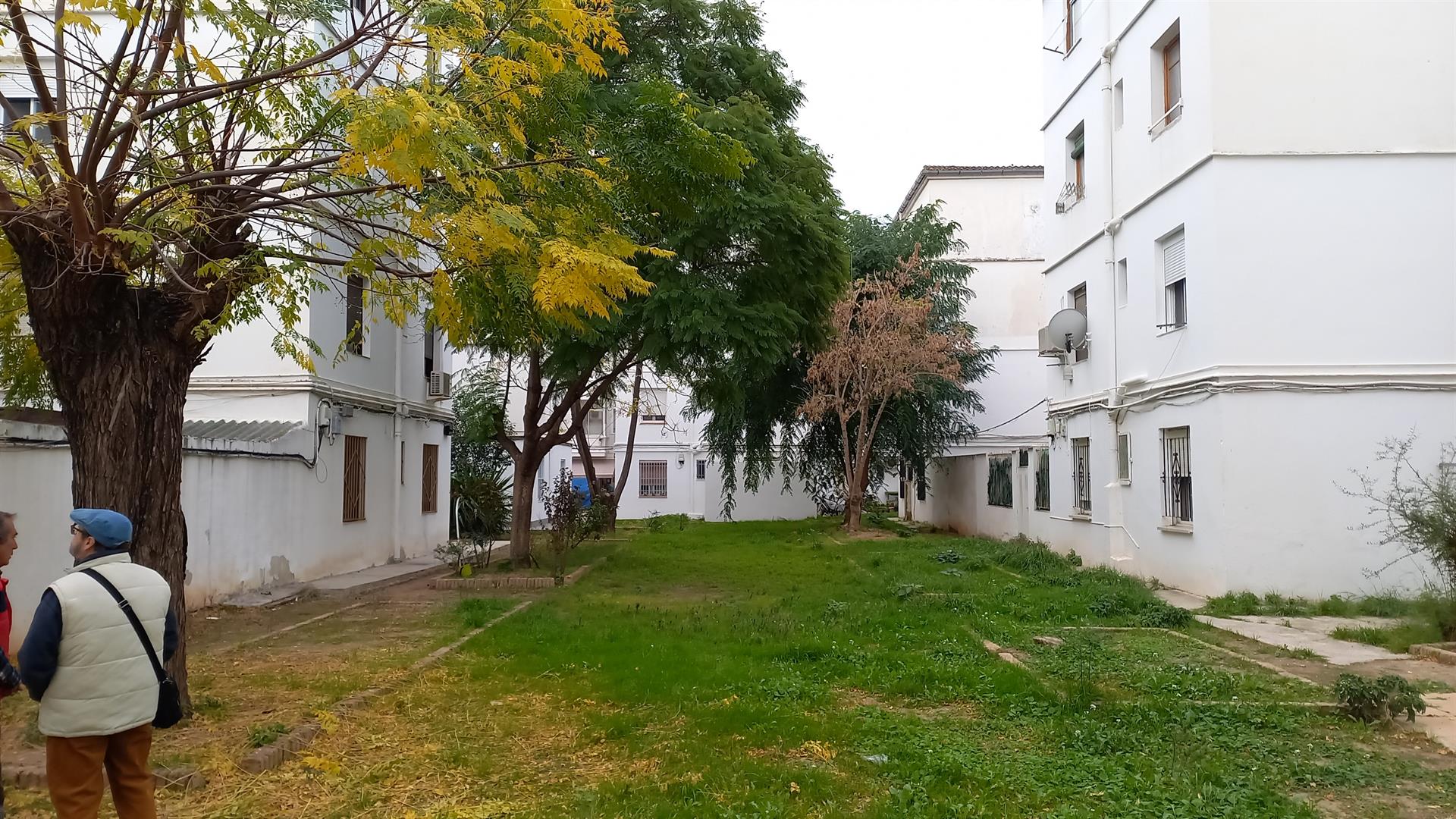 Más de 40 comunidades de viviendas de València se interesan por las ayudas europeas de rehabilitación