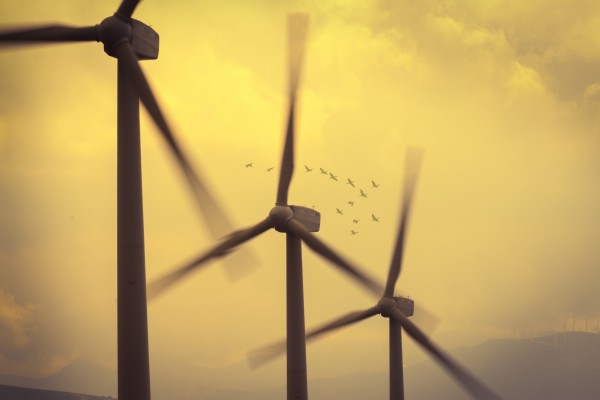 Un grupo de investigadores revolucionan los aerogeneradores con diseños más sostenibles