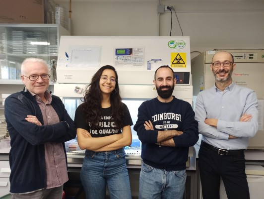 Diseñan una metodología computacional para avanzar en medicamentos específicos contra algunos cánceres