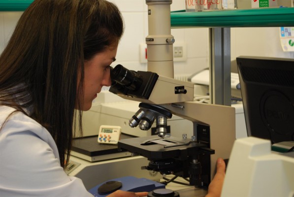 Contra la brecha de género en innovación: fomento del STEM, igualdad y transversalidad en los planes 