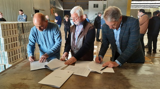 Altea cede a los algricultores las instalaciones de la antigua cooperativa 
para la campaña del níspero
