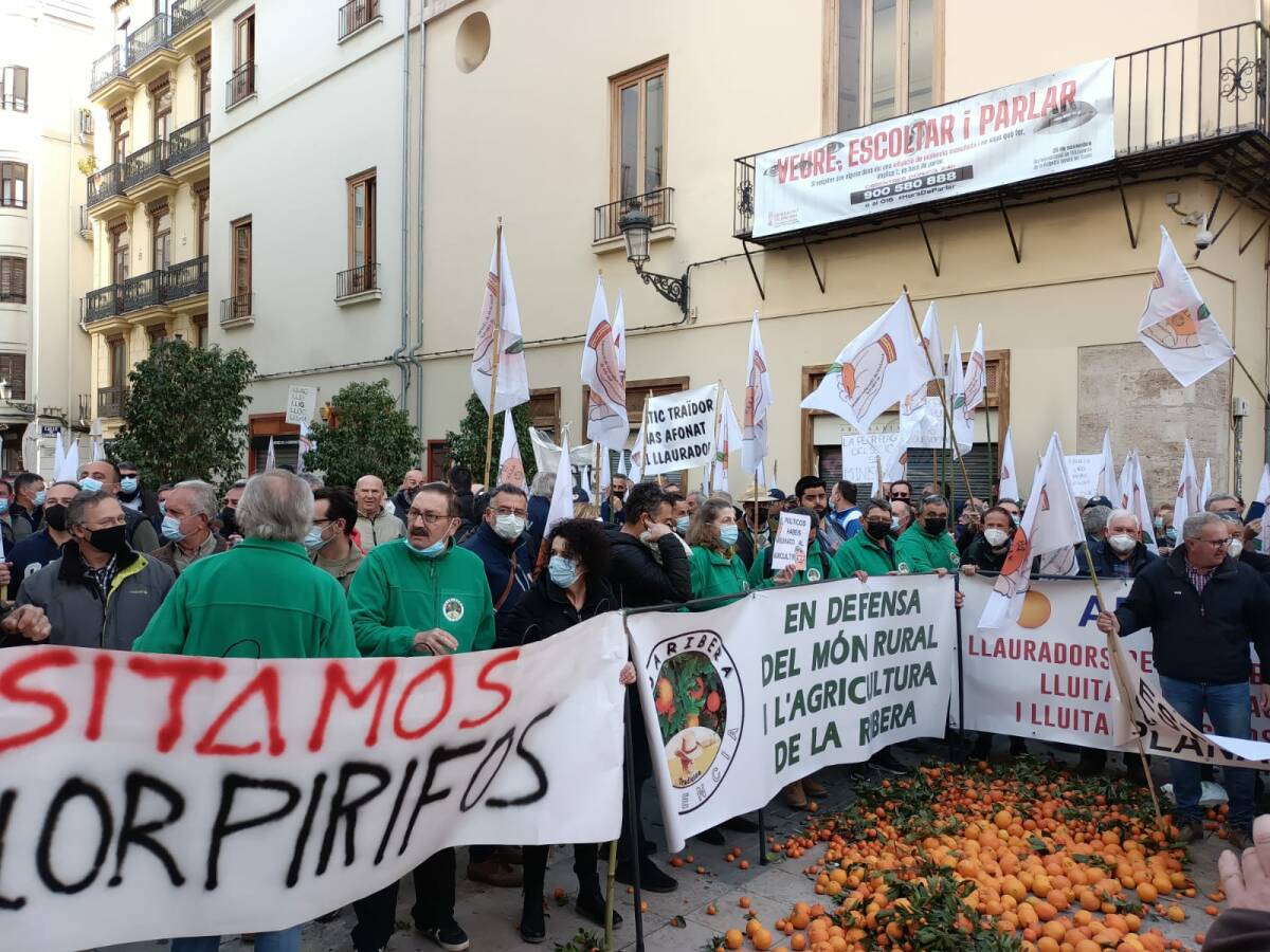Las asociaciones de agricultores independientes piden cita a la consellera con una protesta
