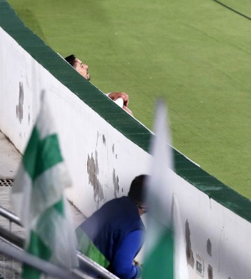 El Elche sólo ha perdido una vez como local ante el Valladolid
