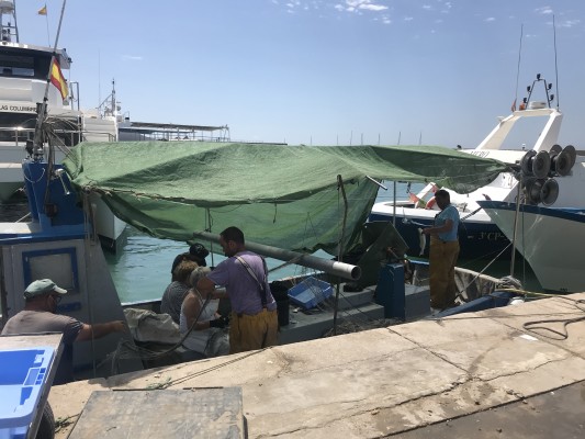 Digipesca, la red liderada desde la Safor para el crecimiento de la pesca en el Mediterráneo español