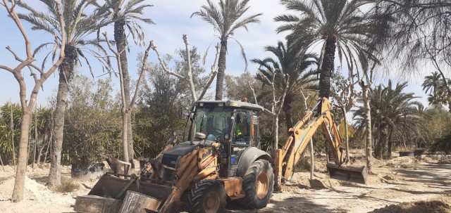 Nueva refriega política por el arbolado en Alicante: ahora por los ejemplares de General Marvá
