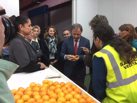 La Comunitat Valenciana lidera la campaña de exportación de cítricos a EEUU 