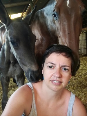 Los 9.900 caballos de razas puras generan un impacto económico de 173 millones en la Región