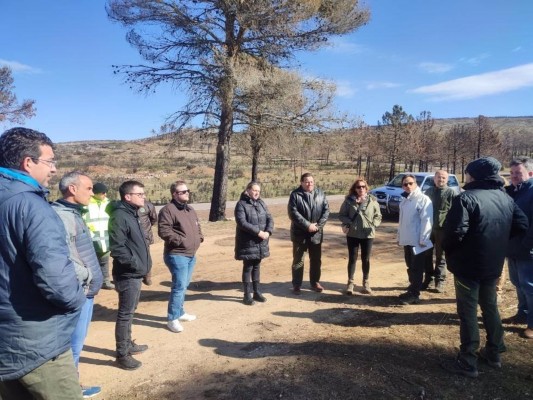 El Consell invierte 1,8 millones en recuperar la zona quemada en Altura por el incendio de Bejís