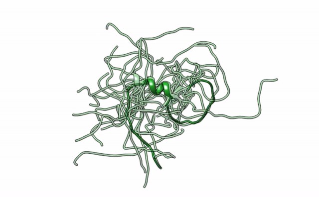 Investigadores del CSIC descubren un mecanismo molecular que podría mejorar el diagnóstico de ELA
