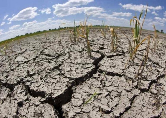 A tiempo para frenar el cambio climático