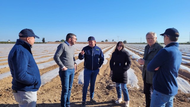 La Región de Murcia cultiva la mitad de los melones que se exportan en España