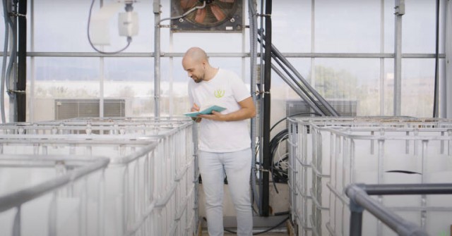Mediterranean Algae, seleccionada como 'startup' finalista en el BlueInvest Day 2023 en Bruselas