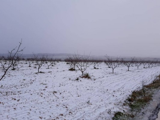 El frío vuelve a la Región: aviso amarillo de Aemet y hasta -4º en el Altiplano y el Noroeste