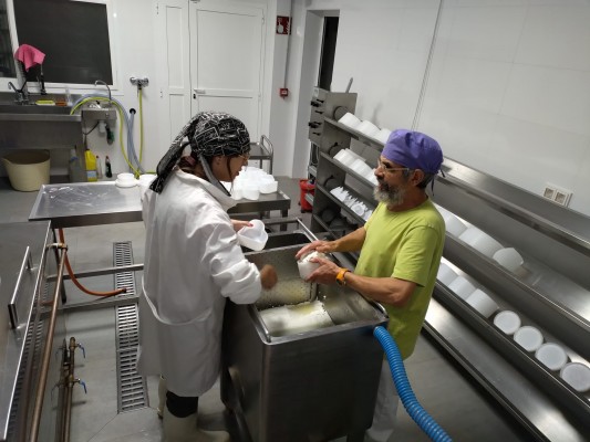 Eslida contribueix a la supervivència del sector ramader amb la creació de formatges artesanals
