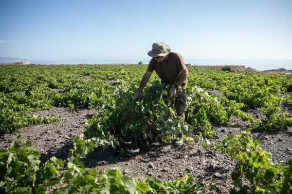 Bruselas deja fuera de la PAC a los pequeños agricultores pese a la crisis de fertilizantes