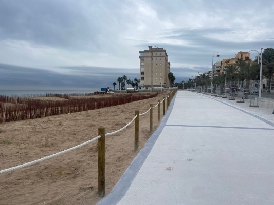 Costas la regeneración dunar del solar del antiguo hotel Arenales del Sol 