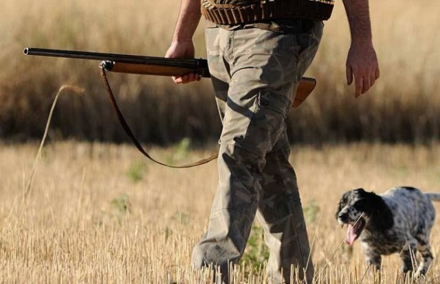 Los cazadores valencianos esperan modificar más adelante sus desacuerdos con la Ley de Bienestar Animal
