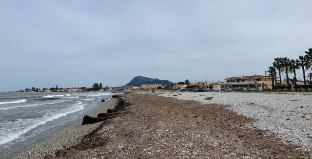 La contrata de limpieza de playas de Dénia de 12 millones se demora y se prevé que entre en vigor en 2024



