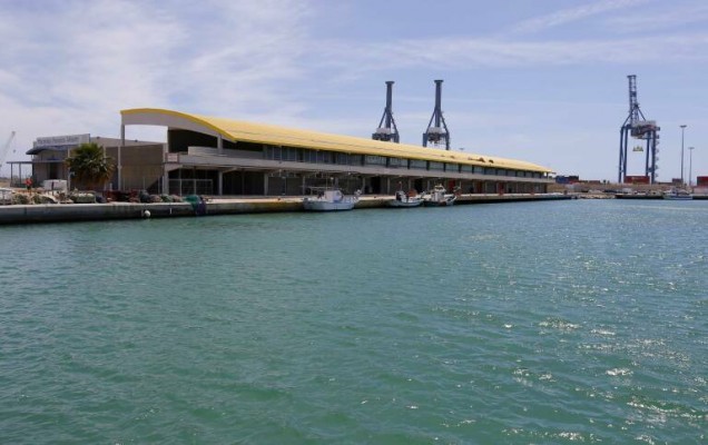 La empresa de la Lonja de Alicante se extingue con la concesión pendiente de un nuevo concurso