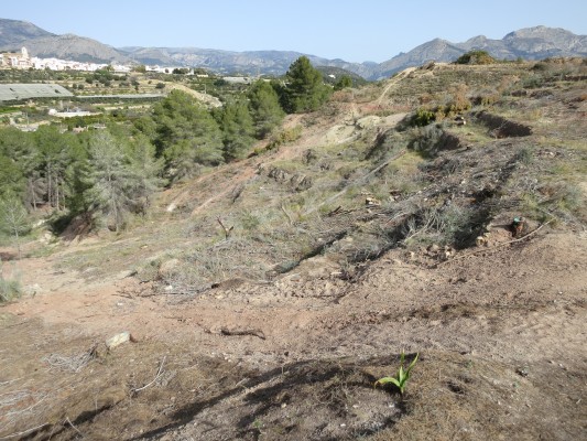 Podem La Nucia apela a motivos medioambientales para exigir la paralización de las obras del PAI  La Serreta