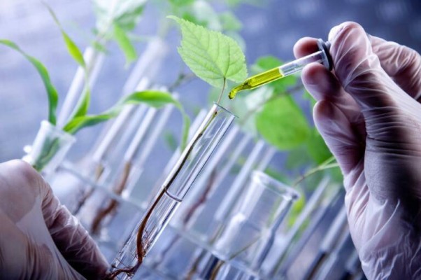 La Región invirtió más de 50 millones en Biotecnología en 2021
