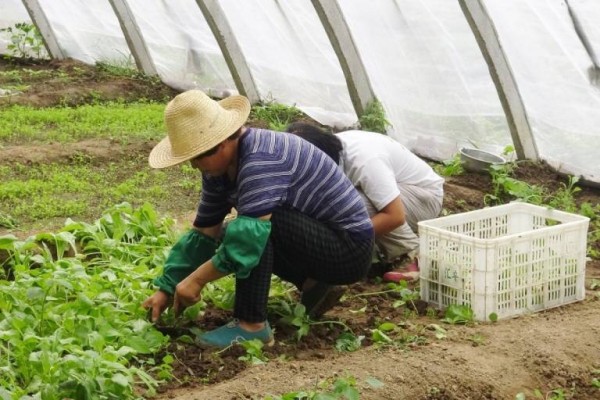 De inmigrantes y mentiras