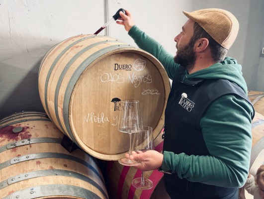 Dominio de Rodeno, microbodega biodinámica del Palancia al rescate de la mondragón
