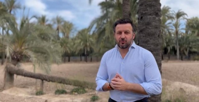 El PP de Elche también propone el uso de los huertos de palmeras como espacios agrarios