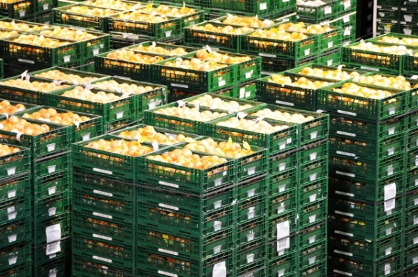 Euro Pool System eleva sus ventas un 7,5% hasta los 144 millones gracias a la exportación