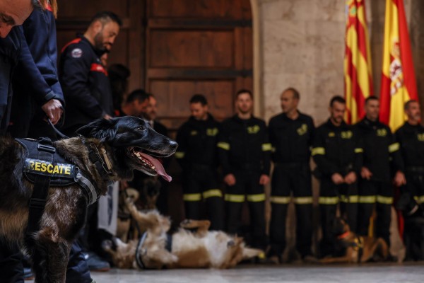Bomberos valencianos y perros de rescate vuelven de Turquía tras rescatar a tres personas con vida