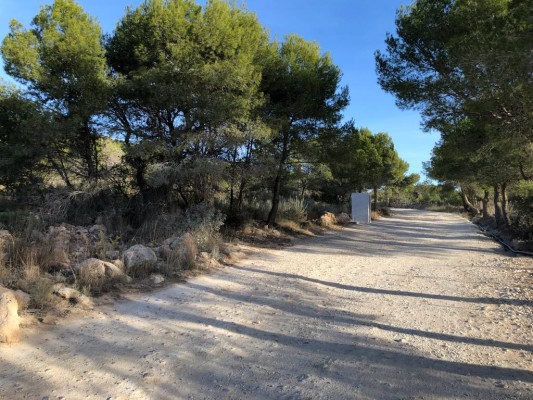 Becsa construirà la zona lúdica i els nous accesos a la Serra d'Irta des d'Alcossebre per 813.000 euros