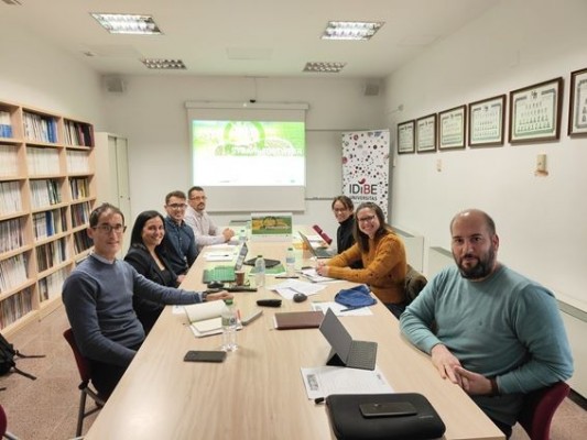 Componentes basados en biomasa o nueva recogida de la paja de arroz, avances de Straw4Footwear