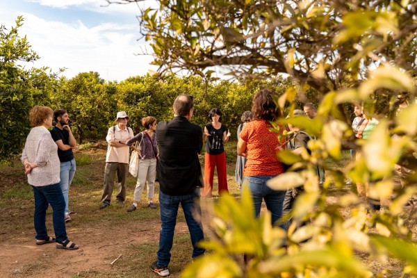 Castelló potencia el consumo de productos de proximidad y ecológicos con el Mercat de la Terra