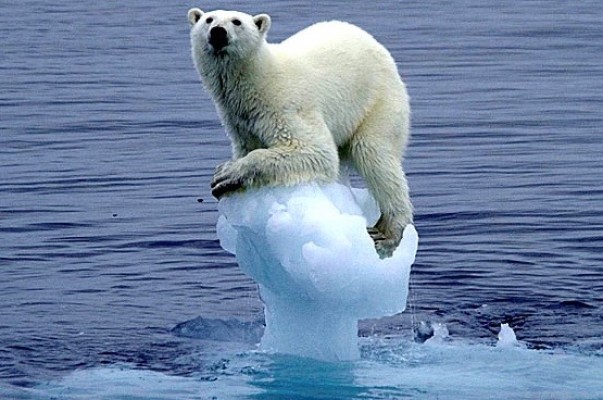 Los mercados financieros y el cambio climático