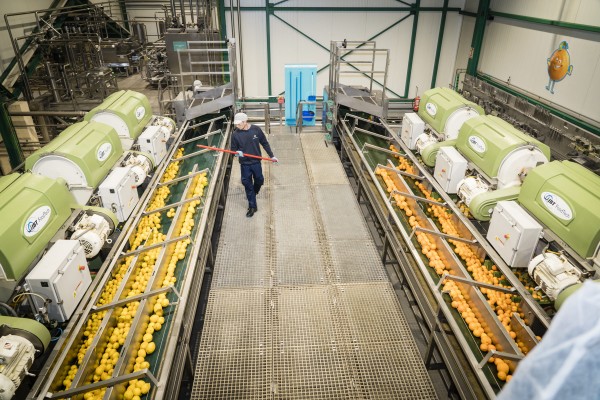 Así es Suntory B&F, la empresa que fabrica para Trina, La Casera y Schweppes en Carcaixent
