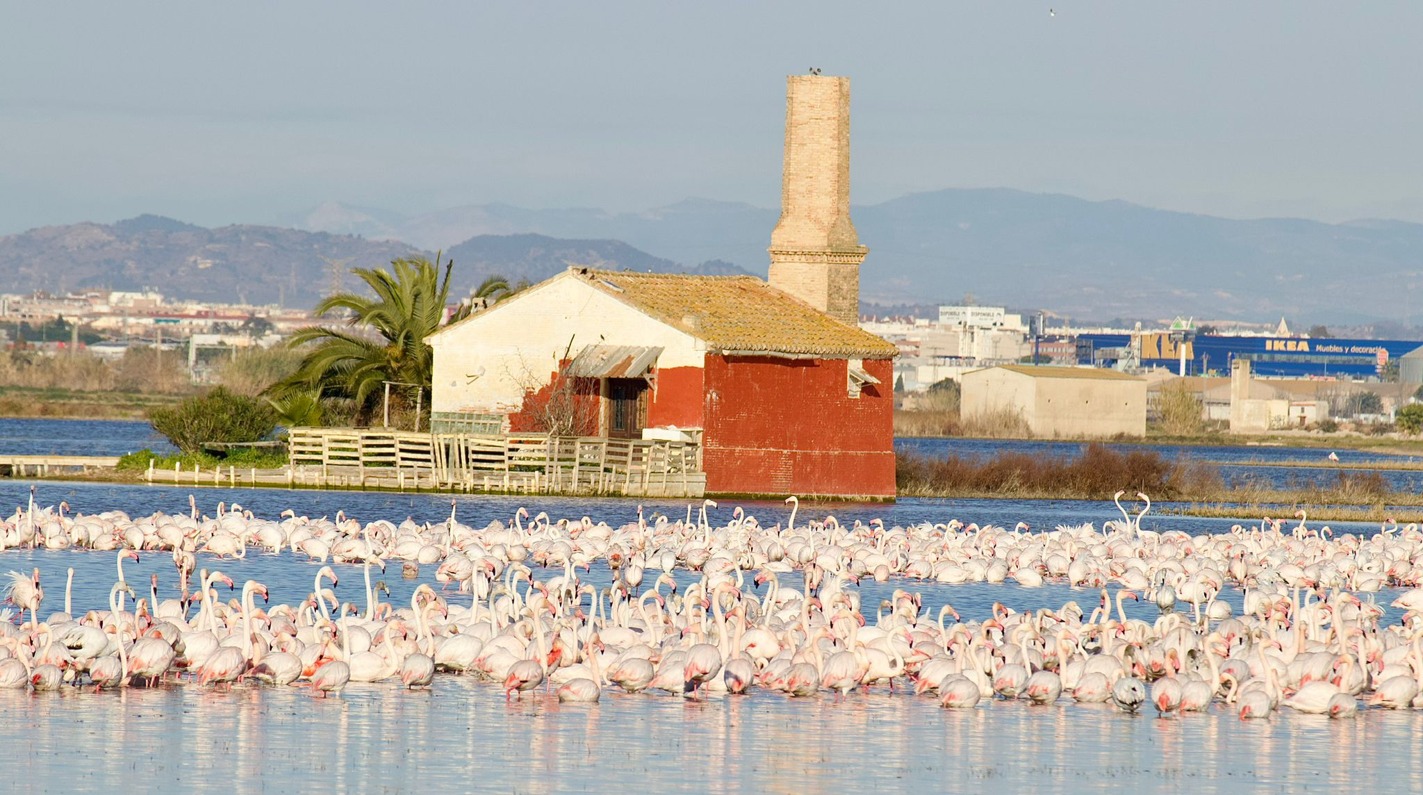 L’Albufera. Foto: LMRV - 