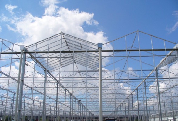 La murciana J. Huete construirá en Portugal un invernadero de cristal con alta tecnología