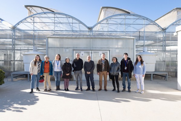 Un proyecto de la UJI busca alternativas a los fertilizantes químicos en agricultura