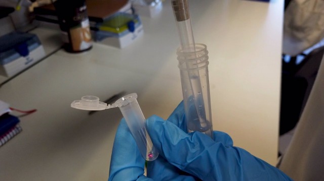  Castelló registra 104 nuevos casos de coronavirus y 24 ingresos en UCI