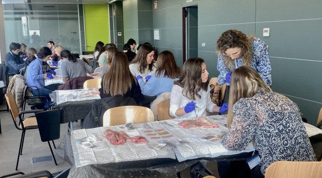 Más de 100 médicos residentes de Castellón participan en la 'IV Jornada de Residentes' del Comcas