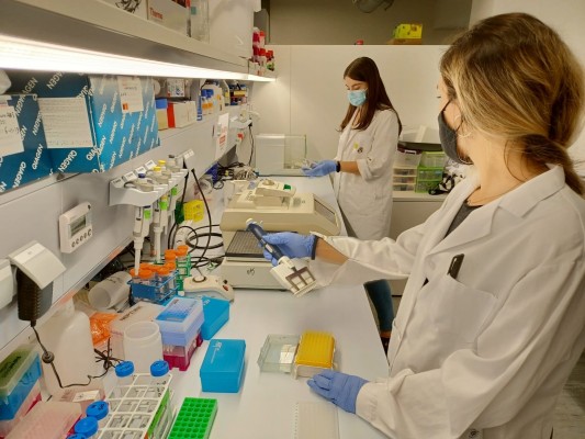 Las profesionales de Vithas han realizado más de 60 proyectos de investigación médica en el último año