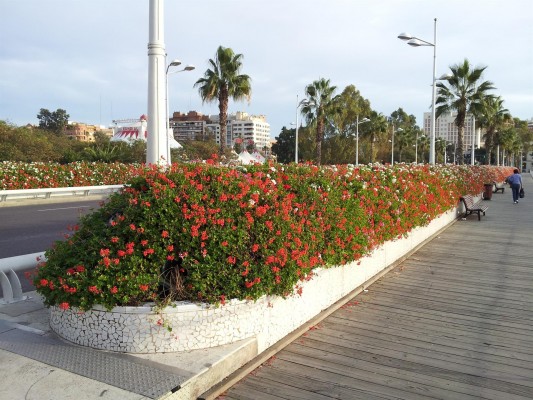 El Puente de las Flores tendrá que ser reparado de urgencia: los daños por el fuego suponen un peligro