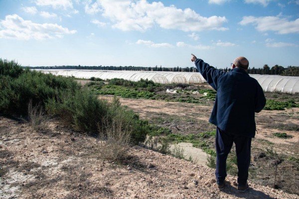 Margalló pide en Elche la suspensión cautelar de licencias para la implantación de fotovoltaicas en el campo 