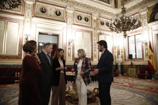 La alcaldesa traslada a las comisiones de Industria y Defensa del Congreso las demandas de la plantilla de Navantia