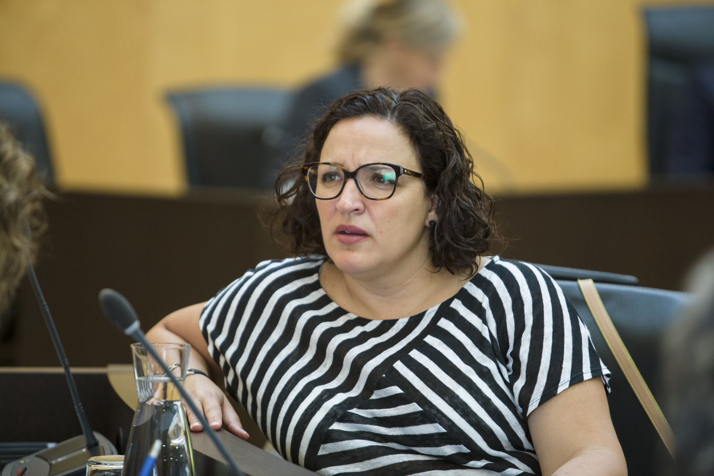 Lourdes Caselles, concejal de Urbanismo. FOTO: Pepe Olivares. - 